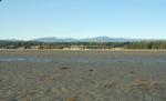 parksville beach parksville beach