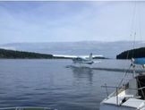 mayne island plane1