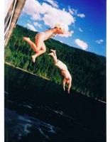 Shuswap Lake waterfront shuswap3