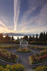 Image ubcview edit811